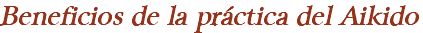 Beneficios de la práctica del Aikido